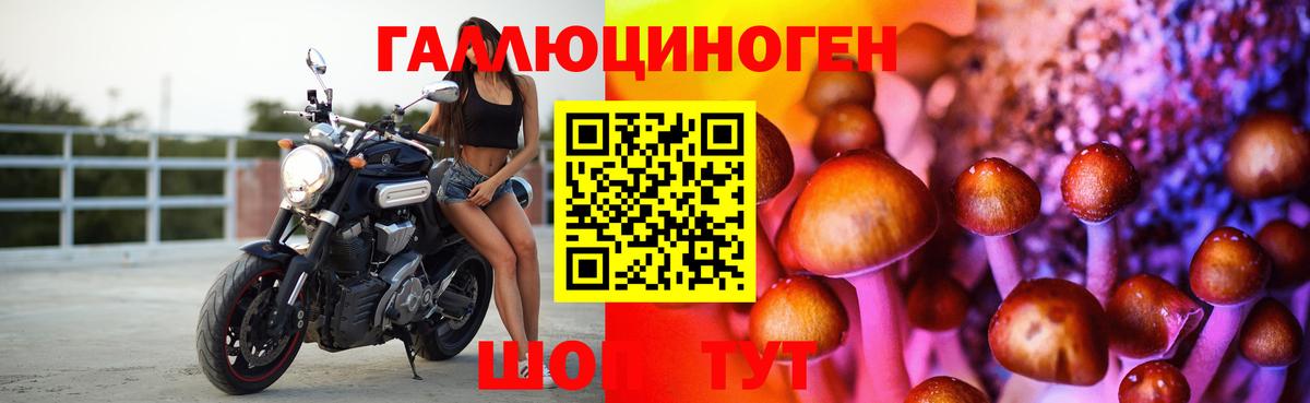 Псилоцибиновые грибы прущие грибы Лениногорск